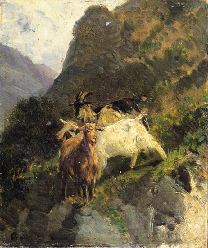 Capre sui monti